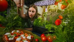 AeroGarden Harvest Elite 360