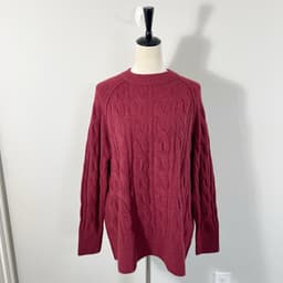 Aerie Cable Crew Reading Sweater