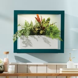 Modern Sprout Grow Frame with LED Lights