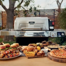 Ninja FlexFlame Grill & Smoker