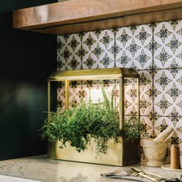 Modern Sprout Smart Growhouse