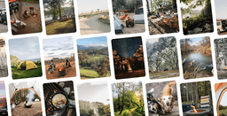 HipCamp Gift Card